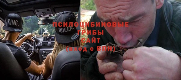 сатива Алзамай
